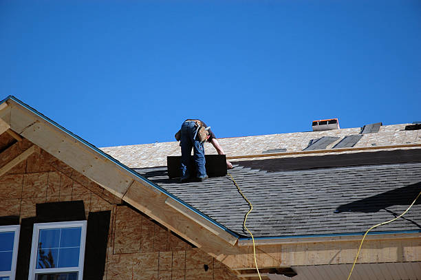 Best Residential Roof Replacement  in Holly Hill, SC