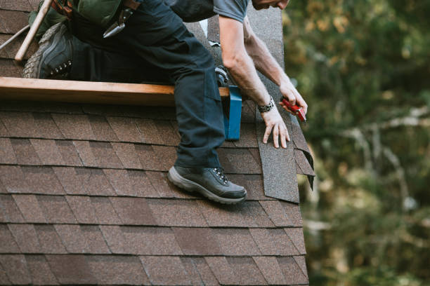 Best Storm Damage Roof Repair  in Holly Hill, SC